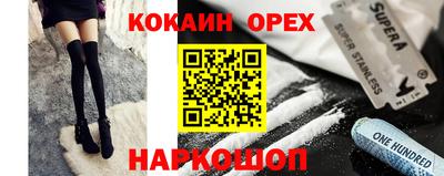 гашик Будённовск