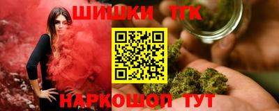 гашик Будённовск