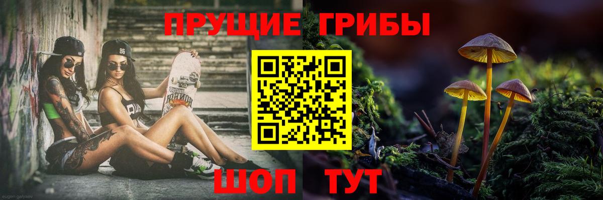Псилоцибиновые грибы прущие грибы Краснодар